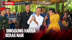 Jokowi  Singgung Harga Beras Naik saat Serahkan Bantuan Pangan di Padang Lawas