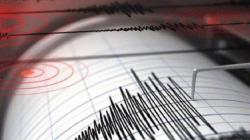 Gempa M5,2 Guncang Ransiki Papua Barat, BMKG: Berpusat di Laut <