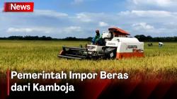 Mentan Ungkap Impor Beras dari Kamboja Untuk Amankan Stok Jelang Lebaran