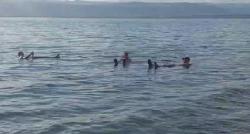 Sensasi Berenang di Laut Mati, Lumpurnya Bagus untuk Kesehatan dan Kecantikan Kulit 