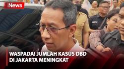 Pemprov DKI Jakarta: Kasus DBD Meningkat, Terbanyak di Jakarta Selatan