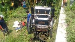 Kuda Tak Bisa Dikendalikan, Delman Terperosok ke Parit Sedalam 3 Meter di Bantul