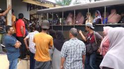 Warga Aceh Barat Usir Paksa Pengungsi Rohingya, Diwarnai Ricuh dan Isak Tangis<