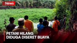 Petani Hilang Diduga Diseret Buaya di Pesisir Selatan Sumbar, Pencarian Terkendala Eceng Gondok