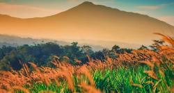 Menikmati Suasana Perdesaan di Bogor, Punya Pemandangan Sunset Menakjubkan