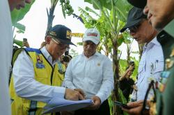 Cek Area Pompanisasi, Mentan Amran: Ini Jawaban Tingkatkan Produksi di Tengah El Nino