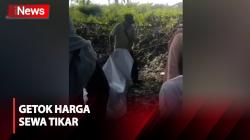 Viral! Beristirahat di Kebun Teh Subang, Rombongan Wisatawan Digetok Harga Sewa Tikar Rp100 Ribu