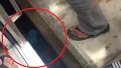 Viral Bocah Jatuh ke Celah Peron Stasiun Manggarai, Proses Penyelamatan Dramatis