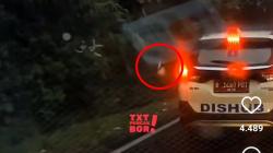 Viral Penumpang Mobil Dishub Pelat B Buang Sampah Sembarangan di Puncak Bogor