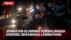 Jembatan Klawing Purbalingga Diserbu Serangga Lembayang, Puluhan Pengendara Motor Jatuh Terpeleset 