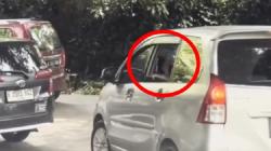 Taman Safari Tegur Mobil Pengunjung yang Nekat Buka Kaca di Zona Singa