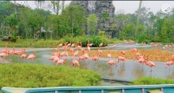 Unik! Eksplorasi Hidden Gem di Singapura Wisatawan Bisa Manfaatkan AI