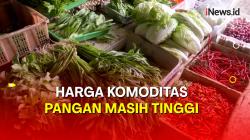Laporan Langsung Harga Komoditas Pangan di Pasar Johar Masih Tinggi
