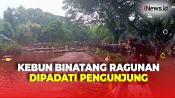 26 Ribu Lebih Pengunjung Padati Kebun Binatang Ragunan di Libur Kenaikan Isa Almasih