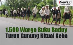 Infografis 1.500 Warga Suku Baduy Turun Gunung Ritual Seba