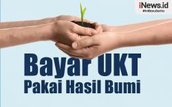 Infografis Mahasiswa Universitas Muhammadiyah Maumere Bayar UKT Pakai Hasil Bumi hingga Tenun Ikat