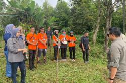 Rayakan HUT ke-25, PNM Sukabumi Tanam 100 Pohon Endemik 