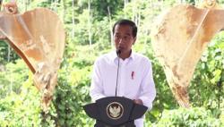 Cek Persiapan Upacara 17 Agustus di IKN, Jokowi: Sudah Hampir Final, Nggak ada Masalah 