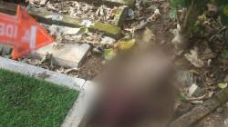 Malang Gempar, Mayat Bayi Terbungkus Kain Ditemukan di Kuburan