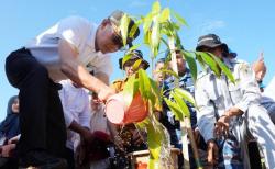 Canangkan Sulsel Menanam, Pj Gubernur Zudan Ajak Warga Tanam Pohon