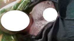 Sadis, OPM Tembak Mati Warga di Pegunungan Bintang, Tepat di Dada Tembus Belakang<