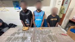 3 Pengedar Ganja Kelas Kakap Lintas Negara Ditangkap di Jayapura<