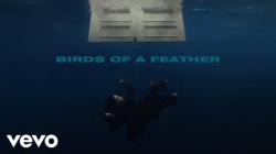 Makna Lagu Birds of a Feather oleh Billie Eilish, Cinta Sejati Sehidup Semati