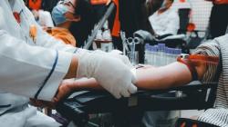 Hari Donor Darah Sedunia Diperingati 14 Juni, Begini Sejarahnya