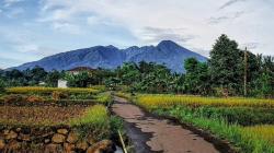3 Jalur Alternatif Purwakarta Cirebon Anti Macet Cipali, Hemat 2 Jam!<