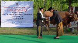 Jokowi Serahkan Sapi Kurban 1,25 Ton ke Masjid Baiturrahman Semarang