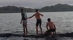 Viral Paus Raksasa Muncul di Perairan Misool Raja Ampat, Main dengan Para Pemuda di Laut<