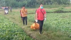 Bangkalan Geger, Mayat Hangus Terbakar Ditemukan di Tengah Padang Rumput Ilalang