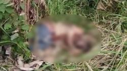Geger! Warga Mentok Ditemukan Tewas Mengenaskan di Banyuasin, Tangan Terikat Tali