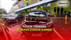 Jakarta Hujan Deras, Pohon Tumbang Timpa Mobil di Depan Stasiun Gambir 