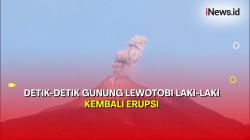 Gunung Lewotobi Laki-Laki Kembali Erupsi, Semburkan Abu Vulkanik 700 Meter 
