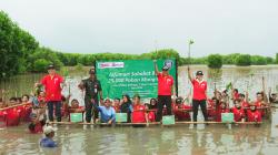 Ulang Tahun ke-25, Alfamart Tanam 25.000 Bibit Mangrove untuk Cegah Abrasi