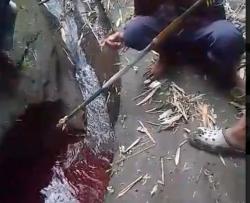 Jelang 1 Suro,  Sumber Air di Malang Berwarna Merah Darah dan Beraroma Wangi<
