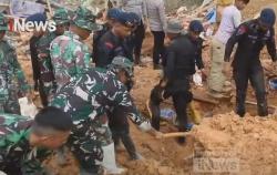 Evakuasi Korban Longsor Tambang di Gorontalo Dikebut, 23 Orang Ditemukan Tewas