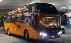 PO 27 Trans Rilis Bus Baru Berdesain Unik Ada Jendela di Bagasi, Ternyata Kandang Macan