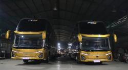 Bocoran, Adi Putro Bakal Boyong Bus Berkelir Emas di GIIAS 2024
