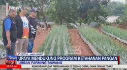 Manfaatkan Tanah Kosong, Warga di Depok Budi Daya Bawang