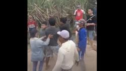 Mengerikan, Perkelahian Sengit Gunakan Senjata Tajam di Lahan Tebu Blitar Terekam Kamera