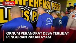 Viral Pencurian Pakan Ayam di Purbalingga, Komplotan Pelaku Ditangkap: Ada Perangkat Desa dan Orang Dalam