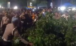 Pohon Beringin Tumbang Timpa Pengunjung Parade Budaya di Banjarnegara, 5 Luka-Luka<