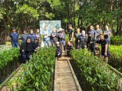 Cegah Bencana di Pesisir, PNM Peduli Tanam 50.000 Pohon Mangrove