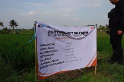 Bulog Temani Petani Jawab Tantangan Ketahanan Pangan Melalui Program Mitra Tani