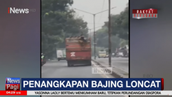  Viral Aksi Bajing Loncat Curi Velg Mobil dari Atas Truk