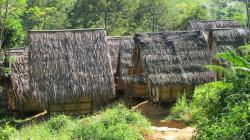 Desa di Baduy Dalam Harus Dikunjungi Minimal Sekali Seumur Hidup, Suasananya Bikin Tenang<