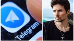 Pavel Durov Ditangkap, Intip 4 Aplikasi Chat Pengganti Telegram