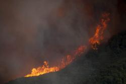 Cuaca Panas Ekstrem Menimbulkan Kebakaran Lahan di California